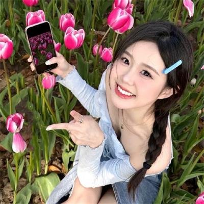 公牛